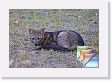 100803 To Baia das Pedras * (109 Slides)